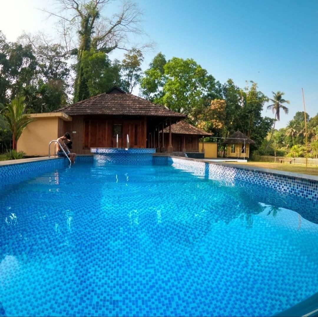 Sparrow Vale Resort Kotamangalam Ngoại thất bức ảnh